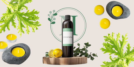 citronella candles, citronella plants and citronella oil used to make citronella candles.