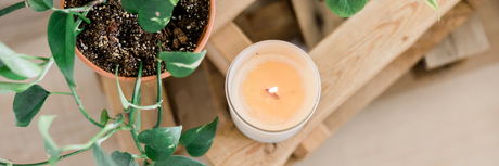 a candle sitting on a wooden pallet next to a potted plant