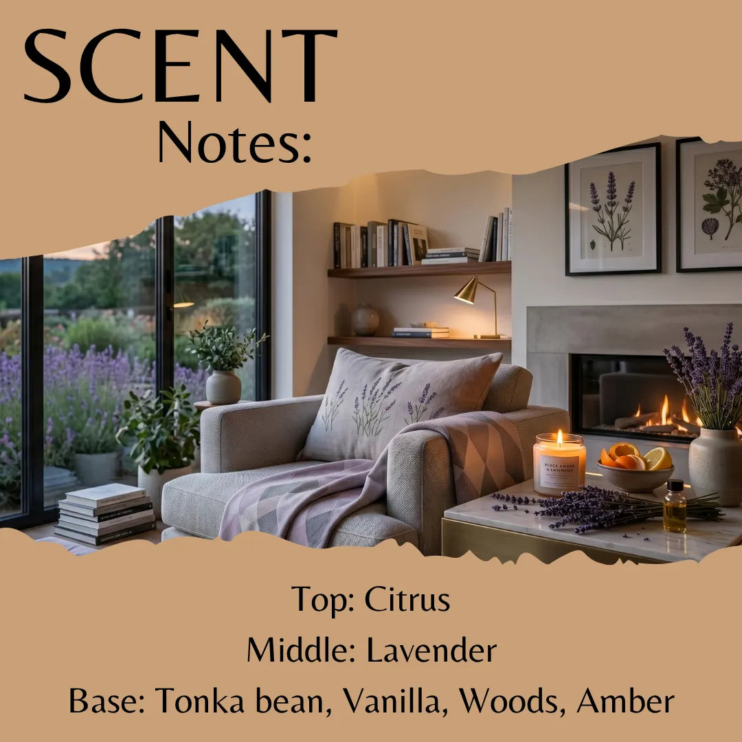 Black Amber & Lavender Fragrance Oil - Reformulated