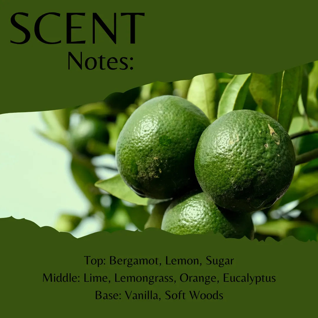Lemongrass & Lime Fragrance Oil - Reformulated