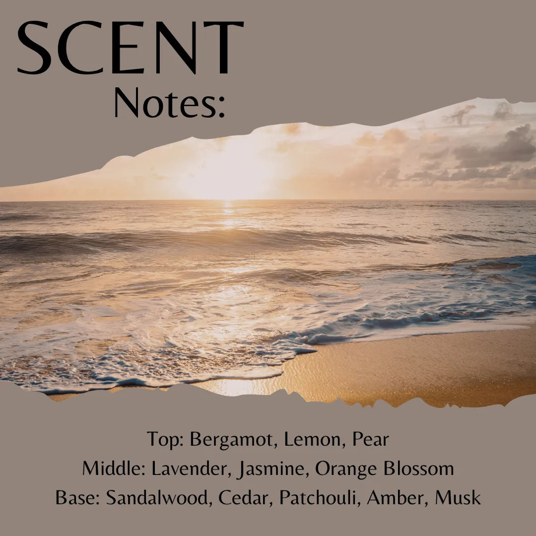 Wood Sage & Sea Salt Fragrance Oil - Reformulated