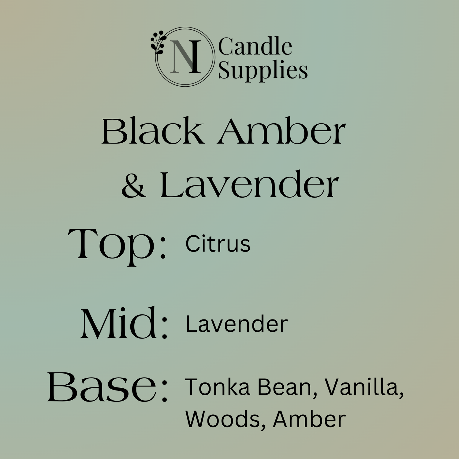 Black Amber & Lavender Fragrance Oil - Reformulated