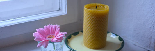 cA honeycomb-inspired candle next to a bright pink flower. Sourced from Pexels.