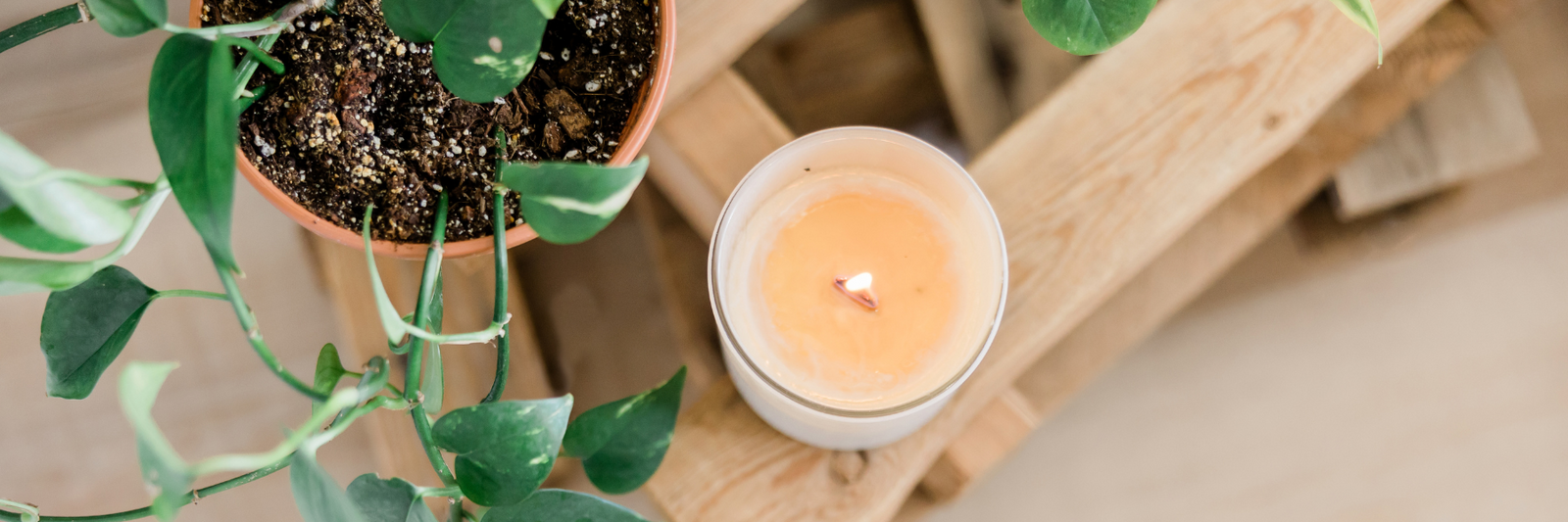 a candle sitting on a wooden pallet next to a potted plant