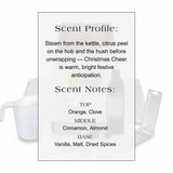 Wax Melt Kit - Christmas Cheer