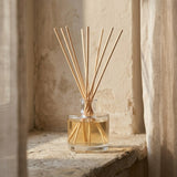 Egyptian Amber Fragrance Oil - Reformulated