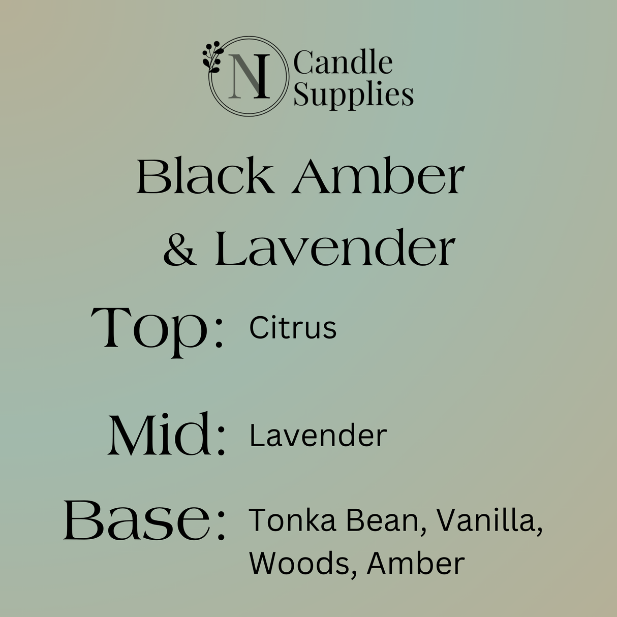Black Amber & Lavender Fragrance Oil - Reformulated