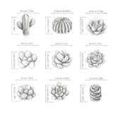 Succulent & Cactus Wax Melt Mould Set — 10 Piece