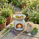 Clary Sage Fragrance Oil